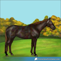 Horse Color:Gray Void Midnight Chestnut Ice Sabino 