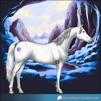 Horse Color:Gray Liver Chestnut Chinchilla Tobiano 