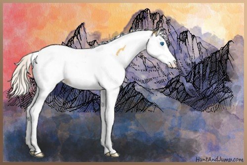 Horse Color:Silver Amber Cream Champagne Splash Tobiano Appaloosa Rabicano
