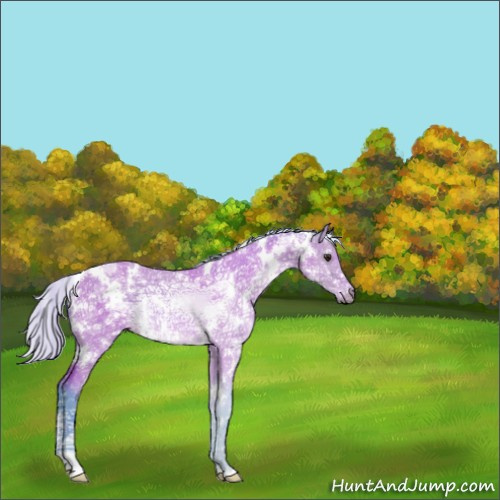 Horse Color:Watercolor White Spotted Silver Bay Ice Dun 