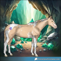 Horse Color:Gold Champagne Tobiano