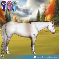 Horse Color:Gray Red Dun