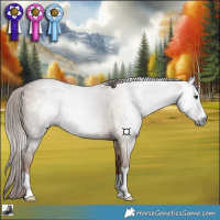 Horse Color:Gray Red Dun 