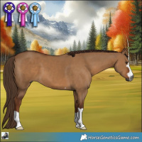 Horse Color:Gray Red Dun 
