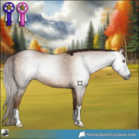 Horse Color:Gray Red Dun