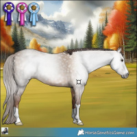 Horse Color:Gray Red Dun 