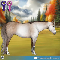 Horse Color:Gray Red Dun