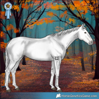 Horse Color:Gray Red Dun Tobiano