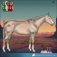 Horse Color:Red Dun