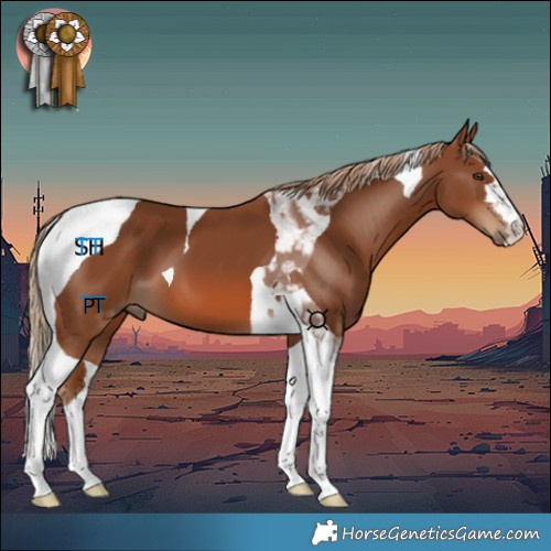 Horse Color:Chestnut Tobiano 