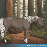 Horse Color:Silver Black 