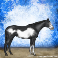 Horse Color:Black Frame 