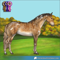 Horse Color:White Spotted Chocolate Palomino Dun Brindle