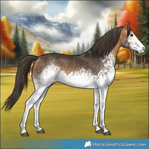 Horse Color:White Spotted Buckskin