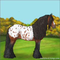 Horse Color:Brown Blanket