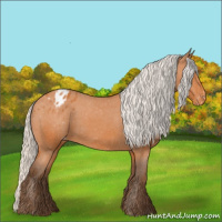 Horse Color:Silver Bay Appaloosa