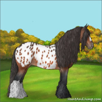 Horse Color:Bay Blanket 