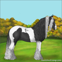 Horse Color:Black Tobiano 