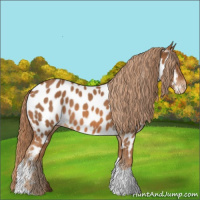 Horse Color:Chestnut Tobiano Near Leopard