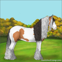 Horse Color:Bay Splash Tobiano