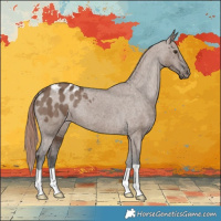 Horse Color:Liver Red Dun Appaloosa Brindle 