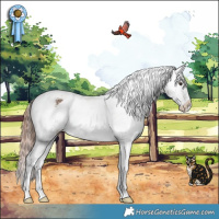 Horse Color:Liver Red Dun Appaloosa Brindle 