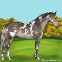Horse Color:White Spotted Silver Smoky Black
