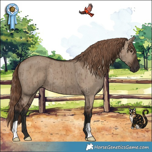 Horse Color:Liver Red Dun Brindle 