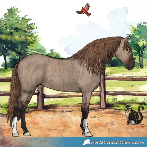 Horse Color:Liver Red Dun Brindle
