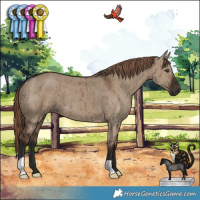 Horse Color:Liver Red Dun Brindle 