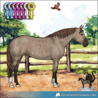 Horse Color:Liver Red Dun Brindle 