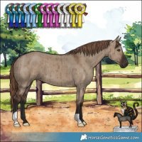 Horse Color:Liver Red Dun Brindle 