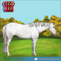 Horse Color:Liver Red Dun Varnish Brindle 