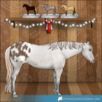 Horse Color:Liver Red Dun Appaloosa Brindle