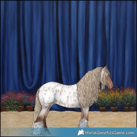 Horse Color:Red Roan Tobiano Near Leopard 