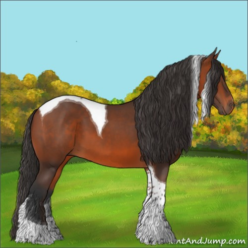 Horse Color:Bay Tobiano 