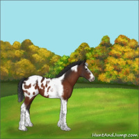 Horse Color:Brown Splash Tobiano Frame Blanket 