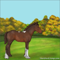 Horse Color:Liver Chestnut Tobiano 