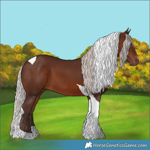 Horse Color:Silver Bay Tobiano 