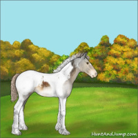 Horse Color:Chocolate Palomino Tobiano Snowcap 
