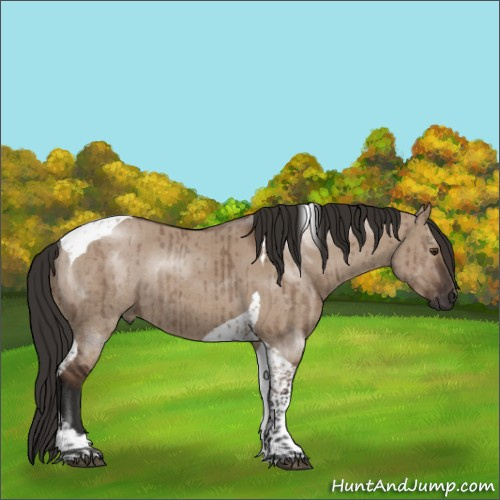 Horse Color:Liver Red Dun Tobiano Rabicano Brindle 