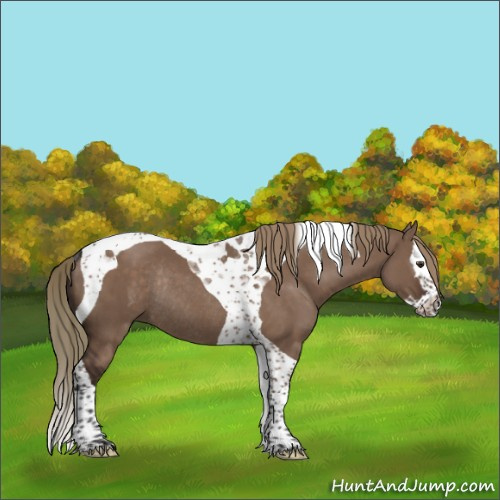 Horse Color:Liver Red Dun Splash Tobiano Rabicano 