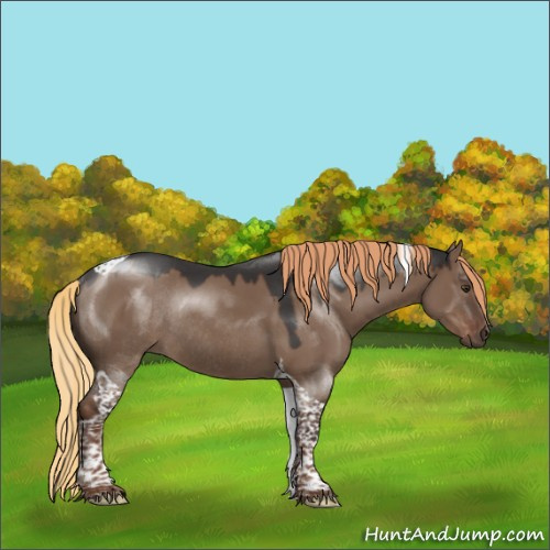 Horse Color:Liver Red Dun Tobiano Rabicano 