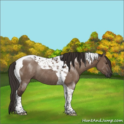 Horse Color:Liver Red Dun Tobiano Rabicano 