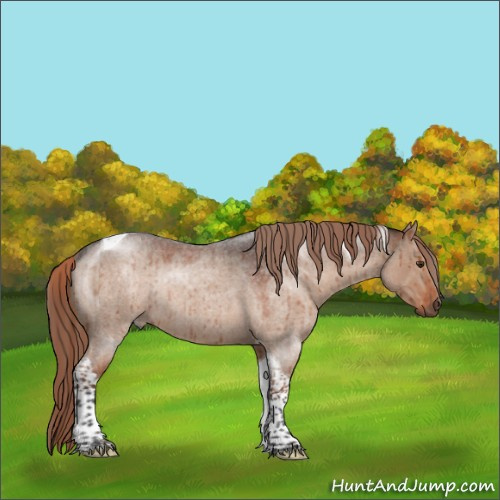 Horse Color:Liver Red Dun Roan Tobiano Rabicano Brindle 
