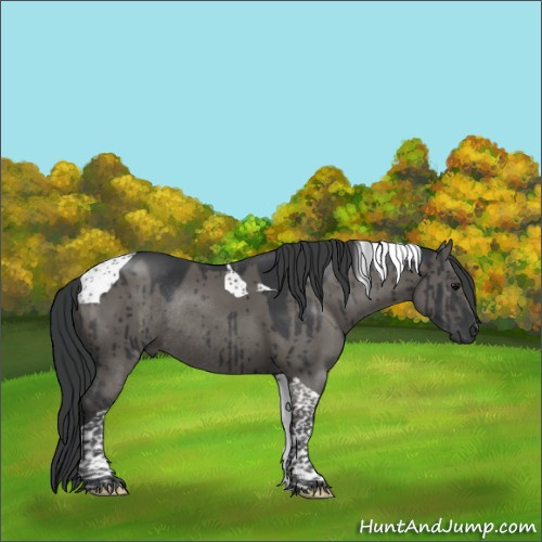 Horse Color:Grullo Tobiano Rabicano Brindle 