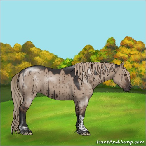 Horse Color:Liver Red Dun Tobiano Rabicano Brindle 