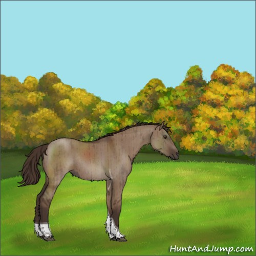 Horse Color:Liver Red Dun Tobiano Rabicano Brindle 
