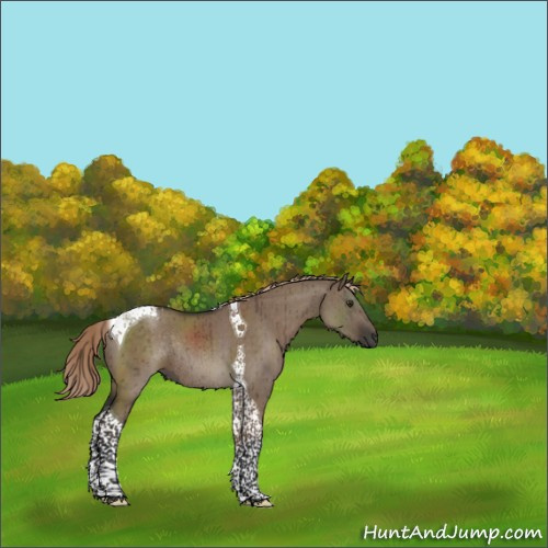 Horse Color:Liver Red Dun Tobiano Rabicano Brindle 
