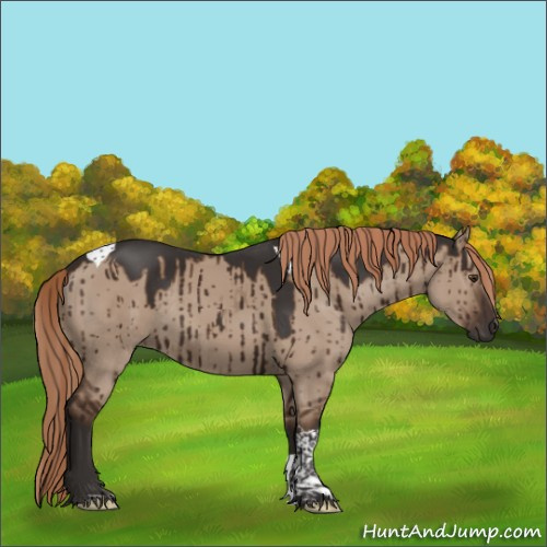 Horse Color:Liver Red Dun Tobiano Rabicano Brindle 